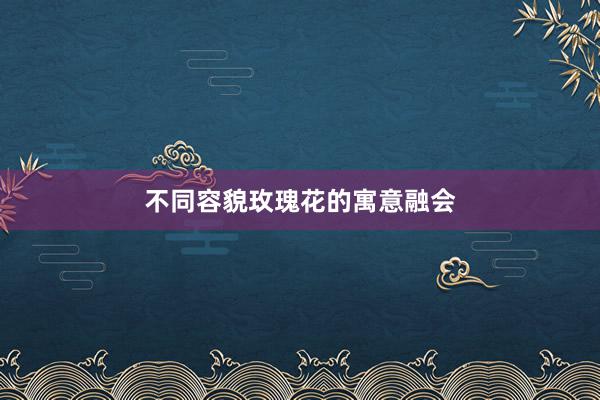 不同容貌玫瑰花的寓意融会