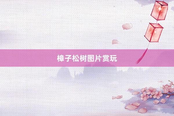 樟子松树图片赏玩